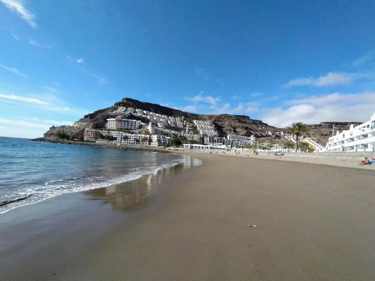 Monsenor Apt. T4 - Casa Azul 皮拉亚德尔库拉